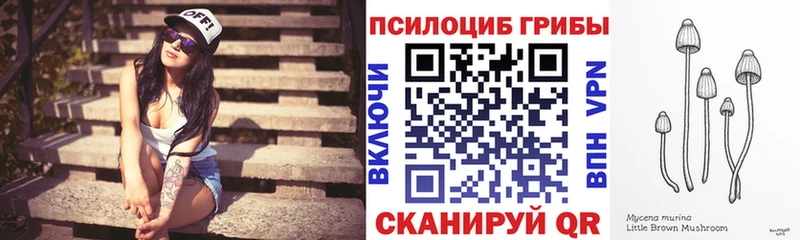 Псилоцибиновые грибы Cubensis  даркнет сайт  Рубцовск 